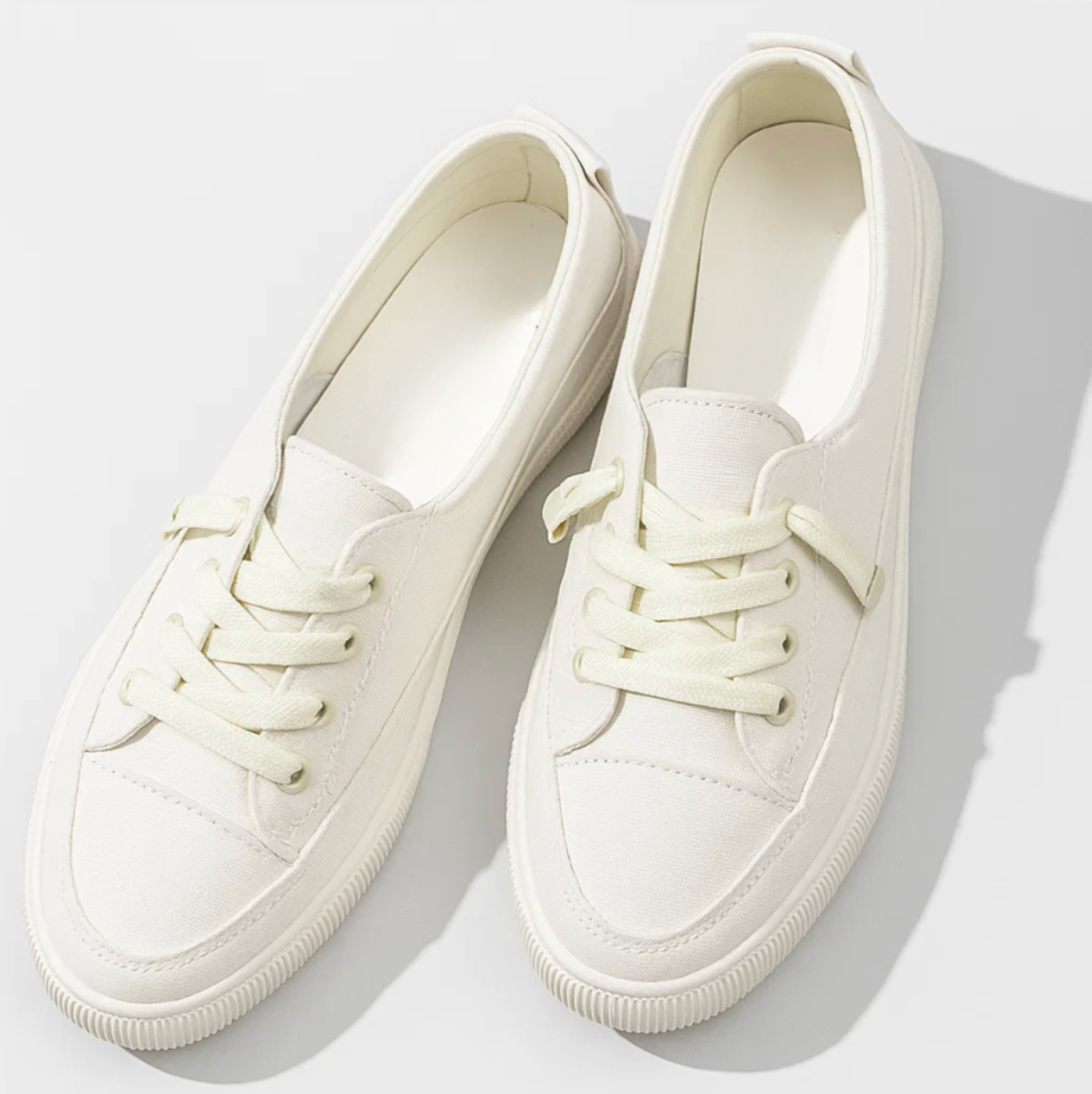 Canvas Low Sneakers